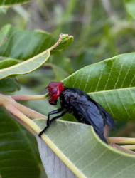 f8877130-175a-42a5-b721-87ab3ab61841