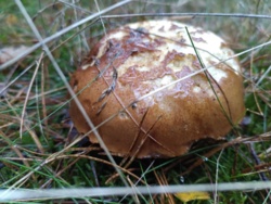 d30a854e-d92f-4c69-8eda-2912a98b1461