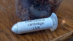 cb65159d-d99a-40e2-a114-21b155fd5b91