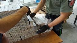Przemycali papierosy pod cienką warstwą rosyjskiego węgla. Wpadli przez skaner rentgenowski