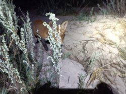 423ed57b-bd91-4a7e-ab1a-0cd1d5f7d77e