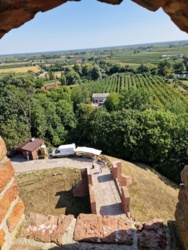 d50c572c-a0c5-4d7f-ab6e-e6608159ca29