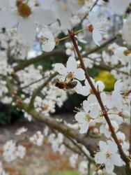 ef8ad90c-49b2-4403-9340-b58dfeabcadd