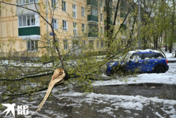 ffe2c74d-ed53-4200-84e8-09213bfff536