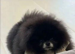 dc02a429-fd10-49c8-ae43-4e5efb901f44