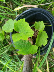 7659b499-4619-4db5-a96e-89414d6bccd5