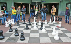 Max Euwe - wybitny szachista i matematyk