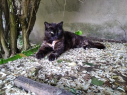 e08c3a8c-5b79-40a0-932d-9e3d0efb398e