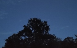 3834d013-dfff-46af-9179-f8a59658f53f