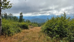 eb1ee1f0-8553-40f3-862e-e14fc3468924