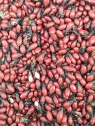 689ec924-8a15-4922-afa7-436b5f466696