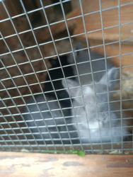 c1a388d7-2897-4a25-9e3d-6a5f840ba9c0