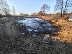 8d7b581b-31a6-4816-ae97-3d1b694ab83b