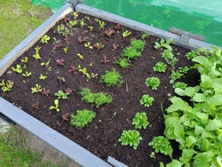 795399f9-4e45-4ff6-9952-30e7c4f1ffe9