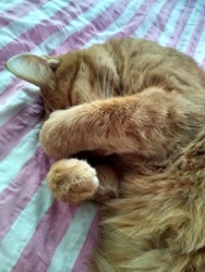 219038a6-c7a6-4bb3-89b7-8a917d3be380