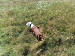 409afdd6-4128-4d5f-bc65-6c66f7bd8d7d