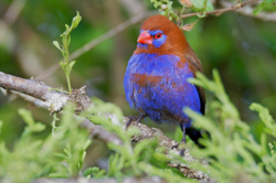 991753d4-1fa8-4dae-91b3-af16748ed4c2