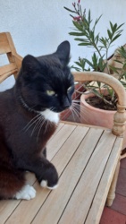 63dabd8e-ad6f-48f8-b30c-0814a6e4c2f9