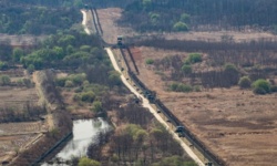 Oaza dzikiej przyrody między Koreami. Źyją tam m.in. zagrożone niedźwiedzie himalajskie