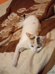 57dbbe0f-a3ae-4de5-bd25-f4d8556d242b