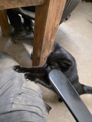 ee77d883-a122-43d2-bbfe-1cb5a6510f1e