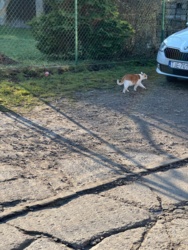 7728caf5-4539-4dc3-bb2d-dd9f1725cc35