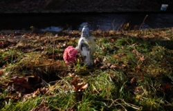 Kryminolożka: zabójstwa dokonane przez nieletnich to ekstremalna rzadkość