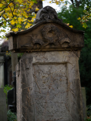 8c29fab1-08b4-46e7-b313-a3296a41f9f9