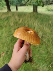 1bed17e1-8d84-45be-a68d-86e9633bb2ee