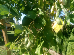 0699408e-c103-4466-942c-40090837ca7c