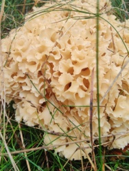 0877bb2f-08a8-44ae-a3a9-60d6aab3fcb2