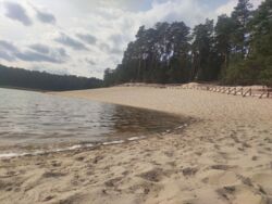 e3a81055-1015-4959-822b-54c005e9a064