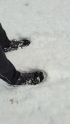 bc65e363-fe06-4130-bf0e-9c51ed4ab2af