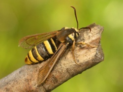 128c83c0-b5d8-4e74-b223-ff58dba21636