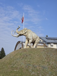 9a4dc9e0-4405-46e4-b557-9911cb63bf35