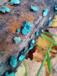 2a65a6d5-cb40-4dd9-9fe6-fc8f3750125a