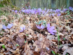 eb16dfd8-41b8-44a3-8591-c5cbaf9f214c