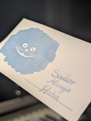 bed4e636-fc99-465d-a75a-5579bc5f5645