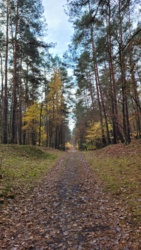 552dcf0b-b674-460a-a131-a98dcda4dffb