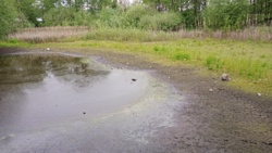 7594d263-688f-4fe9-84ee-4a75af3782e9