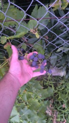 32673fd4-c453-486c-a9b7-91340ef3bae1