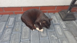 7beed5b6-587a-422b-817f-2d164582f86d