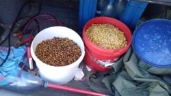 e08176be-3fa5-4317-84b0-8e068a290b21