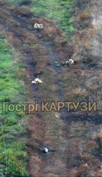 7d182cca-8c31-46c0-816b-da1d7660ac14