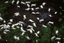 bf728879-fac4-4bd8-9ecb-055941593bc0