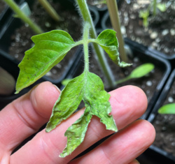 c03f826f-7175-437a-8405-d2a25607d010