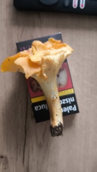 844898d6-ffa1-44c2-9451-6e9aa44b14c8