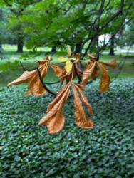 f8930fea-0b83-4336-8374-b34761064bf1