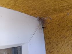 7b267e8b-d058-44db-bec8-9f44ea0ae4e9