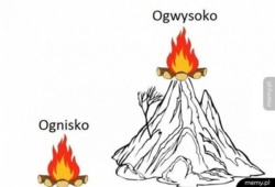 01ae8901-7785-4ad3-b6a2-11d6a5dd9de3